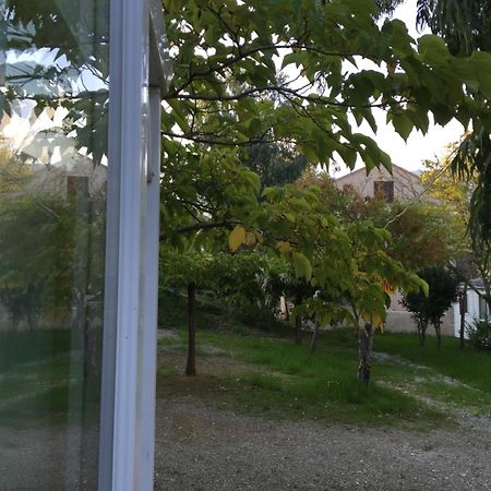Camping Les Orangers San-Martino-di-Lota ห้อง รูปภาพ