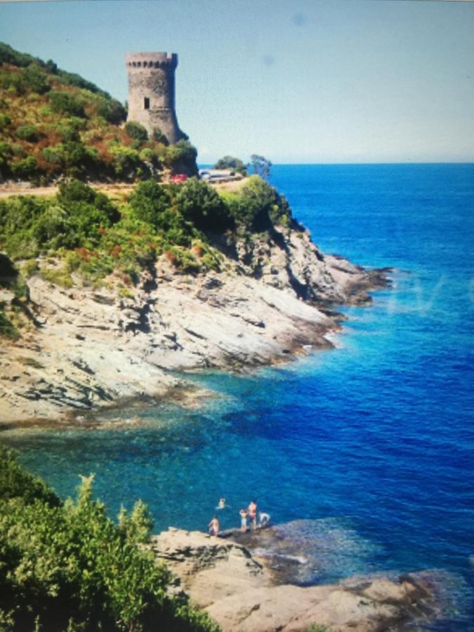 Camping Les Orangers San-Martino-di-Lota ภายนอก รูปภาพ